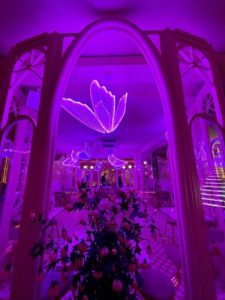 Marriage proposal in Bloom Restaurant Natalia Ortiz