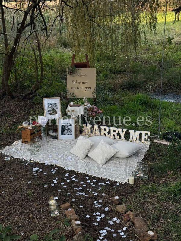 Pedida de mano en Tenerife con picnic en un bosque