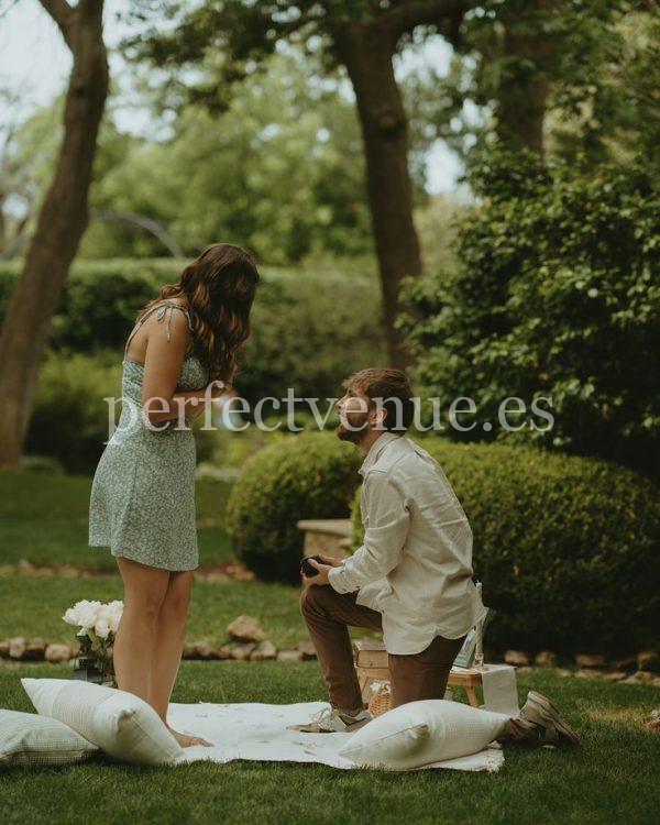 Marriage proposal in Tenerife with a picnic in a forest