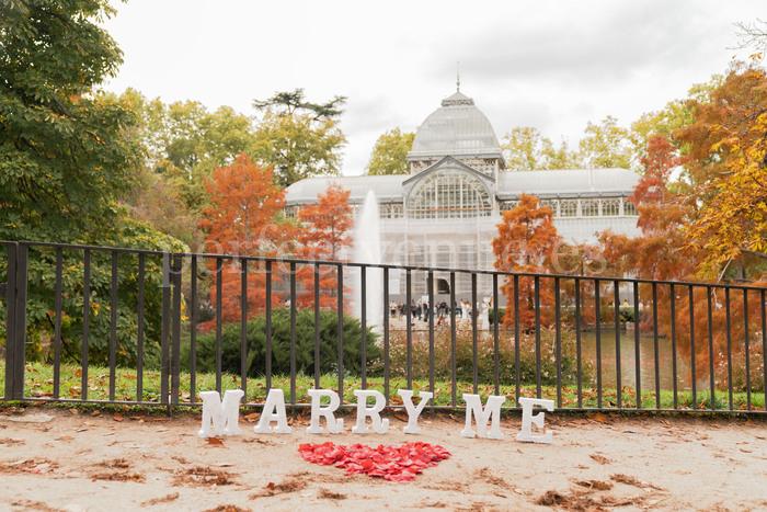 marriage proposal in madrid