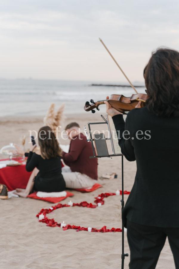 Electronic and classical violinist for weddings and events / Photo via Natalia Ortiz Events
