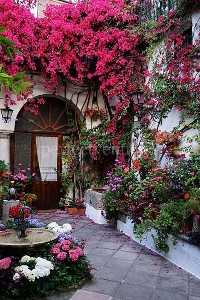 Fiesta de los Patios de Córdoba / Photo via Pinterest