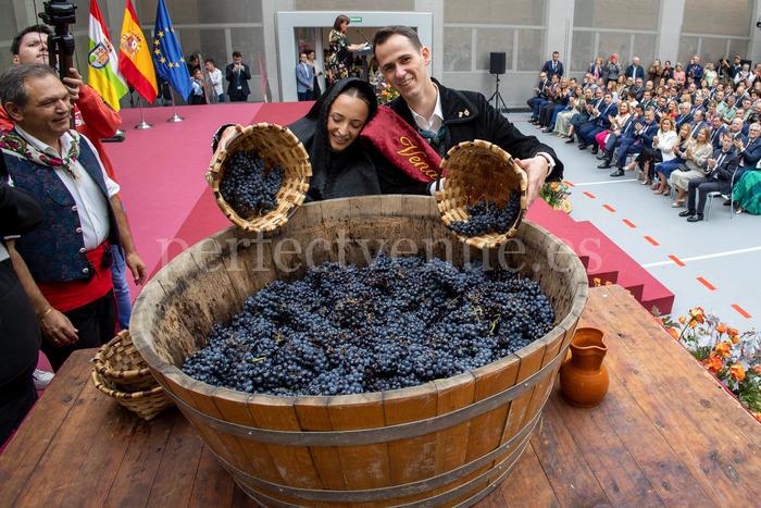 Fiesta de la Vendimia en La Rioja / Photo via Pinterest