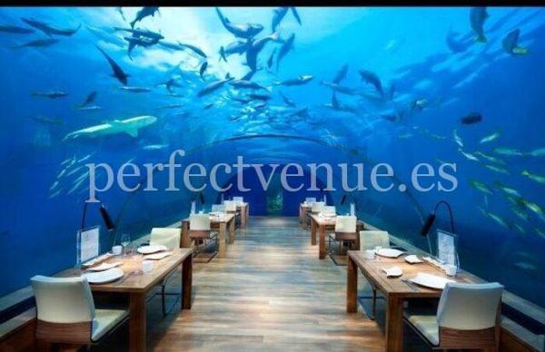 Luxury honeymoon / Photo via Perfect Venue