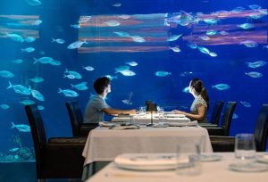 marriage proposal in an underwater restaurant
