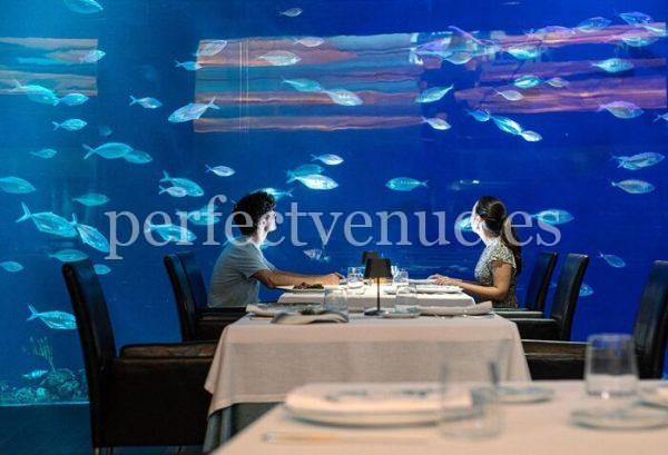 marriage proposal in an underwater restaurant