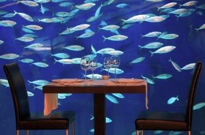 marriage proposal in an underwater restaurant