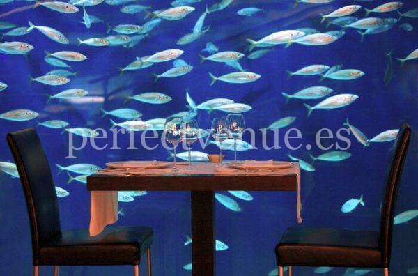 marriage proposal in an underwater restaurant