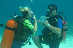 marriage proposal swimming with sharks