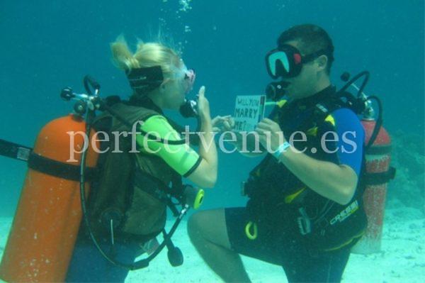 marriage proposal swimming with sharks