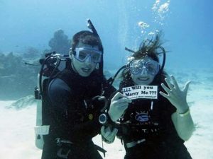 marriage proposal swimming with sharks