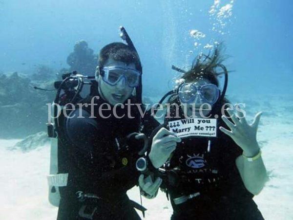 marriage proposal swimming with sharks