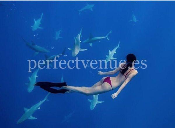 Luxury Honeymoon / Photo via Perfect Venue
