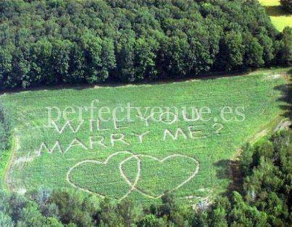 marry me marriage proposal in parachute