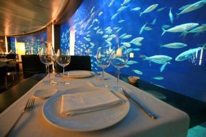 marriage proposal in an underwater restaurant