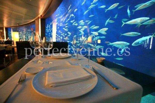 marriage proposal in an underwater restaurant
