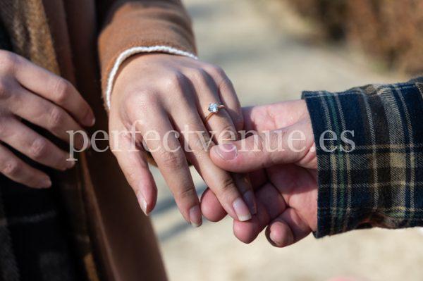 Marriage proposal at the Rosaleda del Retiro - 148