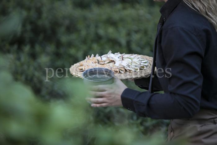 Catering for corporate events in Madrid, Macadamia Catering