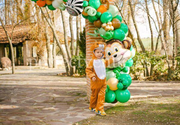 birthday-party-video