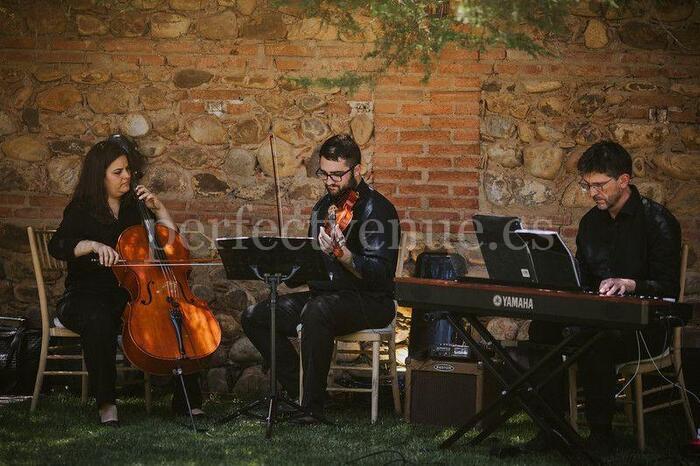 Música clásica en bodas temáticas Música clásica en bodas temáticas / Foto vía Cuerda y Compás