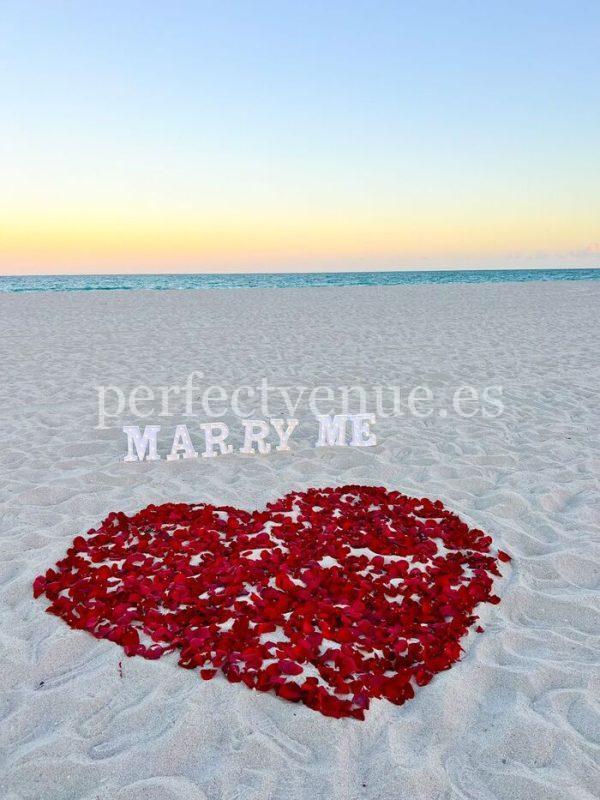 Proposal on Marbella beach with rose petals / Pinterest