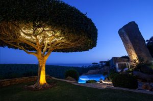 Pedida de mano en Cádiz rodeados de un paraíso de naturaleza en Bolonia