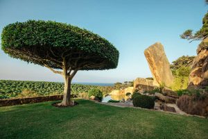 Marriage proposal in Cadiz surrounded by a natural paradise in Bolonia
