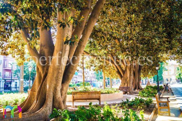 pedida de mano en Murcia en el jardín de Floridablanca