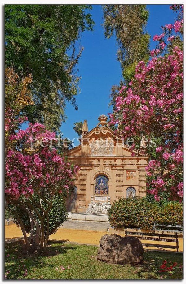 Pedida de mano en Sevilla en los Jardines de Murillo