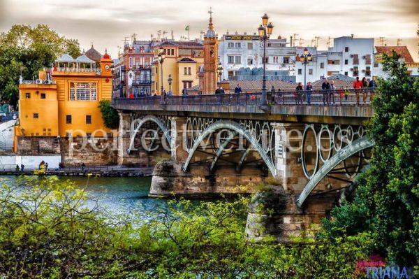 Marriage proposal in Seville on the Triana Bridge