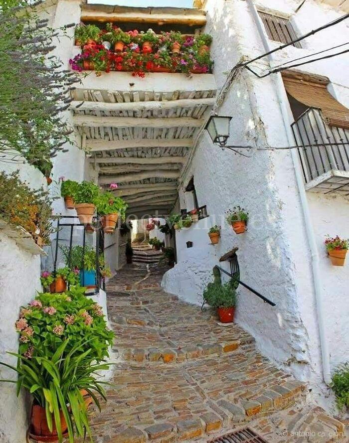 Свадьба в Альпухаррасах / Фото с Pinterest