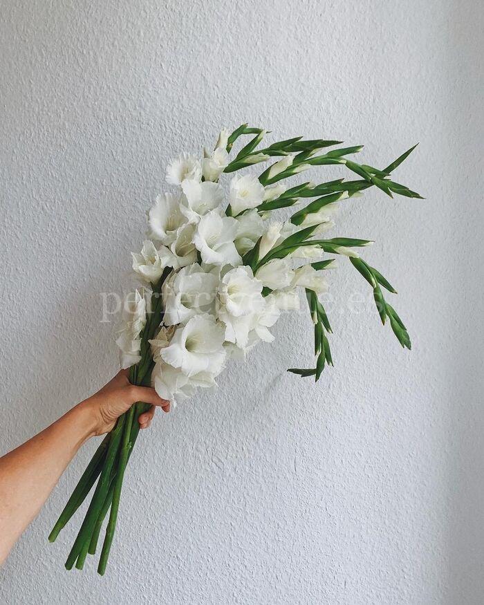 Flores de temporada para bodas / Foto vía Pinterest