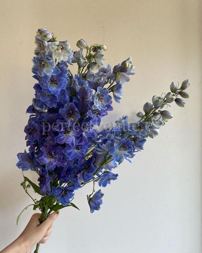 Flores de temporada para bodas / Foto vía Pinterest