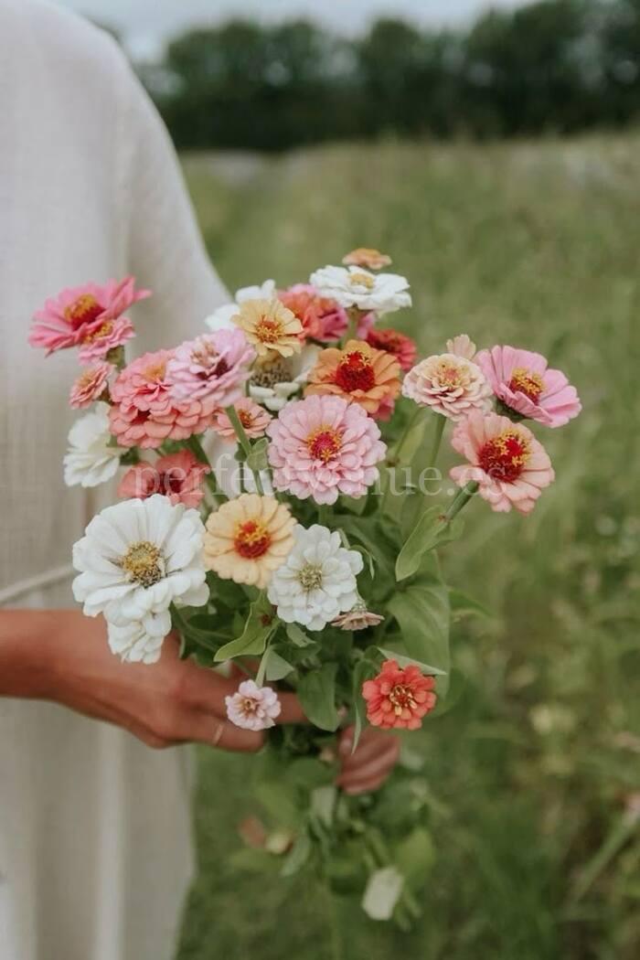 Flores de temporada para bodas / Foto vía Pinterest