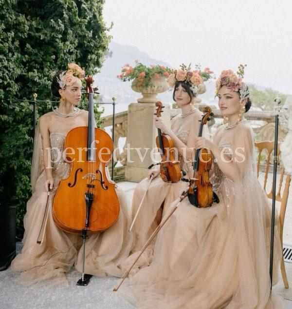 Electronic and classical violinist for weddings and events / Photo via Pinterest