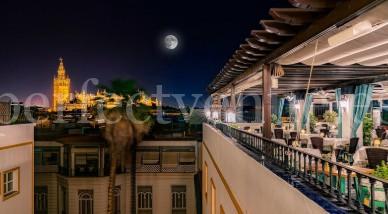 Предложение руки и сердца в Севилье в отеле Vincci Hotel
