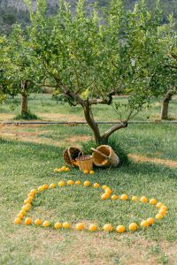 Marriage proposal in Sa Vinyassa / Photo via Natalia Ortiz Events