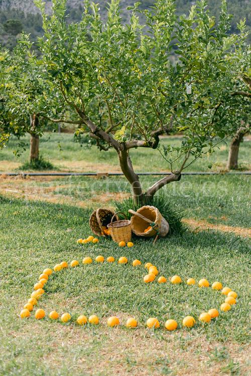 Marriage proposal in Sa Vinyassa / Photo via Natalia Ortiz Events