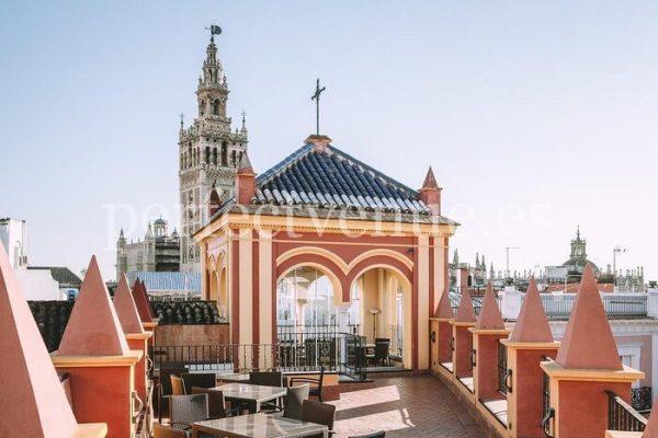 Marriage proposal in Seville at Pinello Palace, the best views of the Giralda
