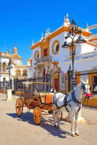 Marriage proposal in Seville in a horse-drawn carriage