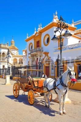 Marriage proposal in Seville in a horse-drawn carriage
