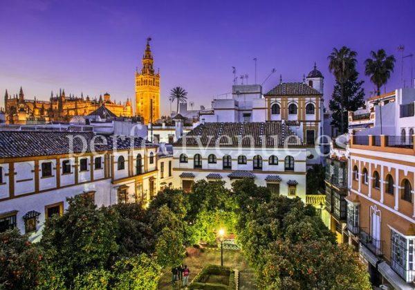 Pedida de mano en Sevilla / Perfect Venue