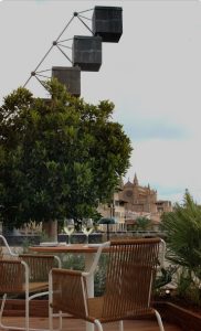Pedida de mano en Mallorca en el restaurante Mariluz