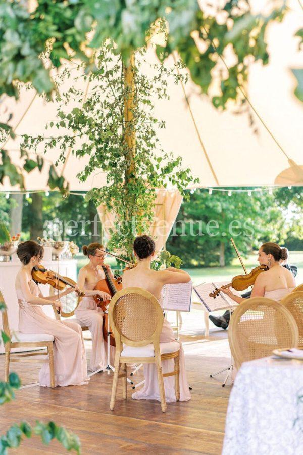 Electronic and classical violinist for weddings and events / Photo via Pinterest