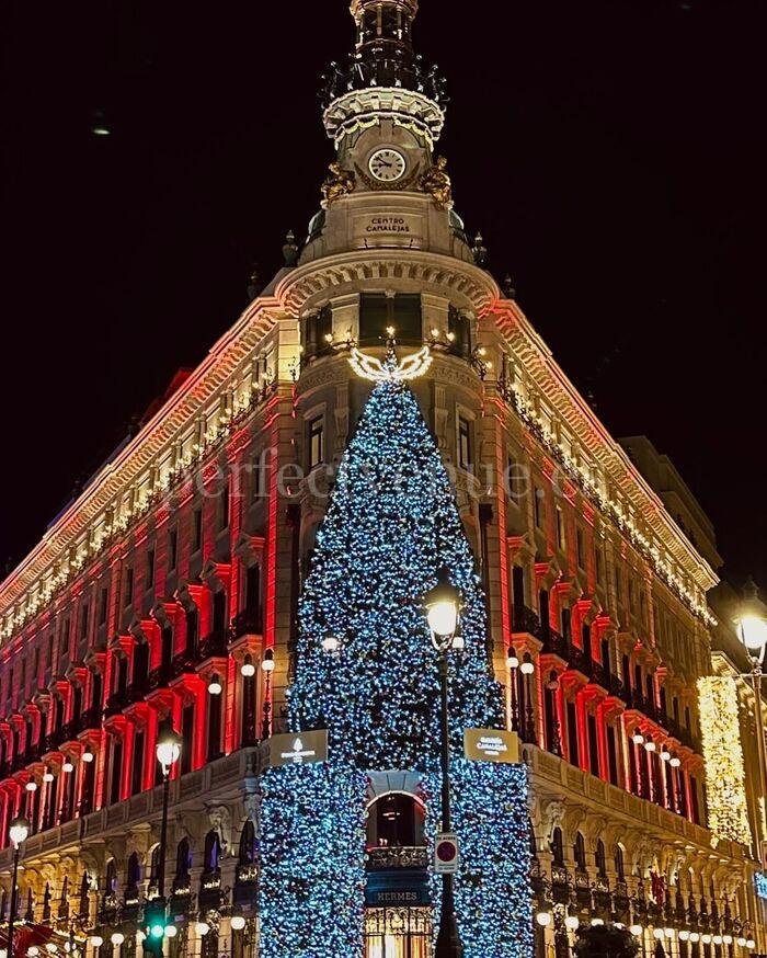 Planes navideños en Madrid para 2026 Planes navideños en Madrid para 2026 / Foto vía Pinterest