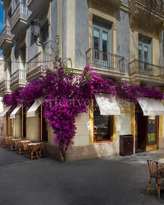 Mejores restaurantes en Alicante / Foto vía Pinterest