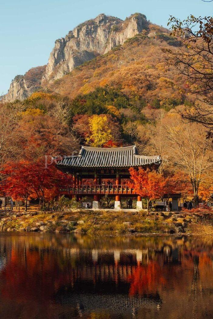 Поездки-сюрпризы к помолвке / Фото через Pinterest