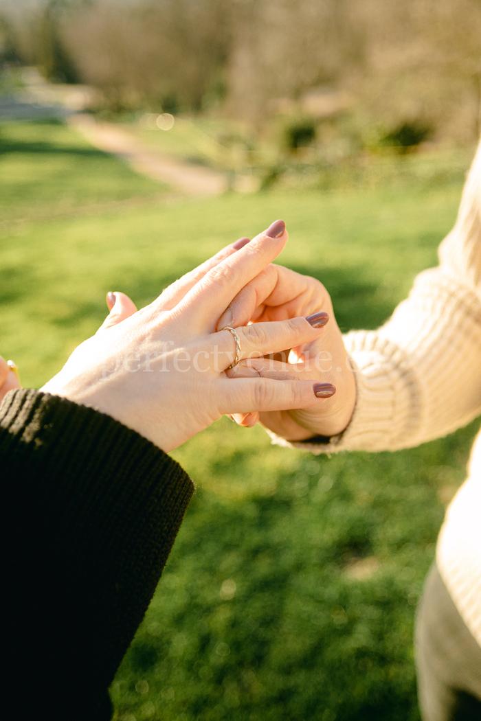 Marriage proposal at the Royal Palace of Madrid