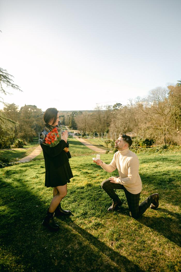 Marriage proposal at the Royal Palace of Madrid