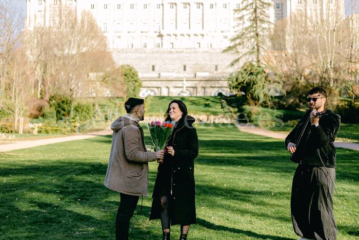 Marriage proposal at the Royal Palace of Madrid